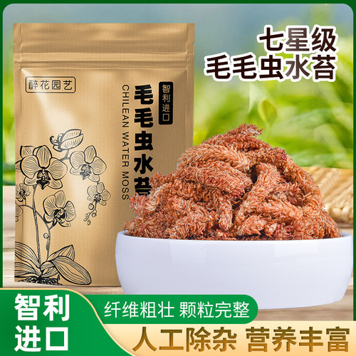 智利进口水苔兰科专用土