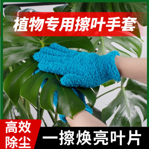 醉花植物擦叶手套珊瑚绒叶面除灰尘不伤手清洁去灰除尘加厚珊瑚绒