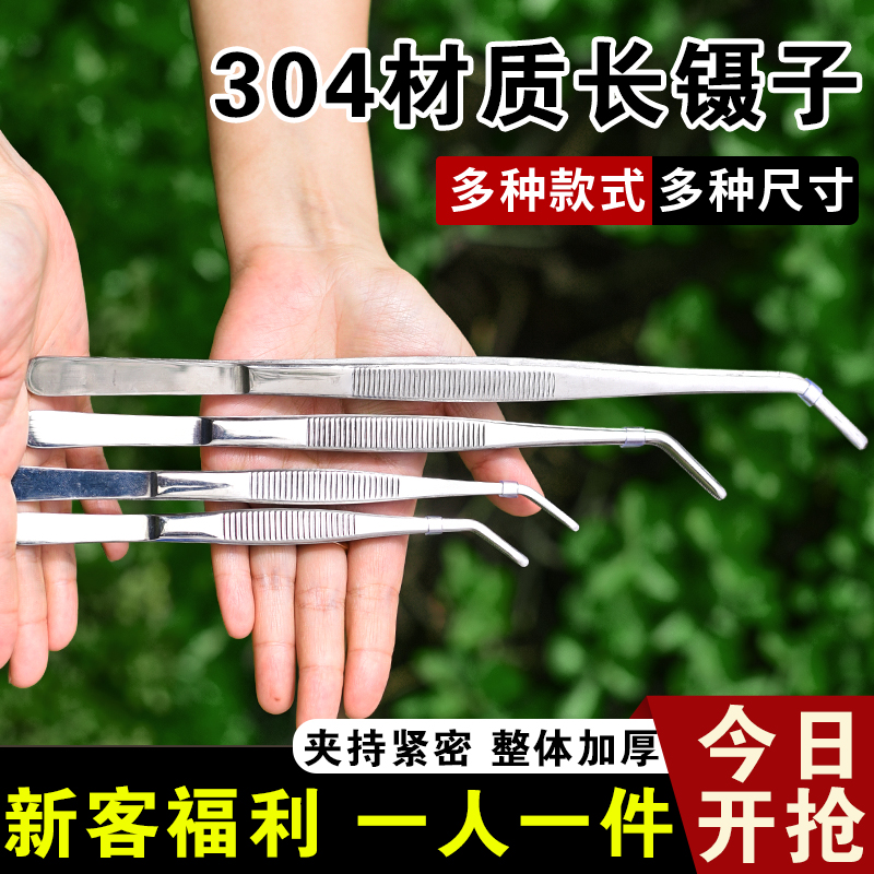 醉花多肉专用镊子304钢