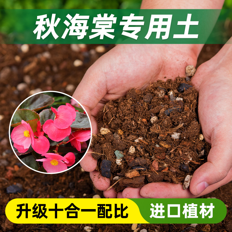 醉花海棠专用土多肉植物专用土