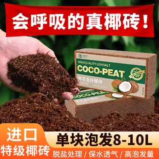 椰砖营养土通用型椰土壤椰糠种菜种花养花专用种植大块耶砖粗椰壳