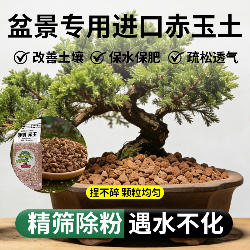 盆景专用赤玉土龙泉日本原装进口造景内门竹多肉扦插颗粒营养土