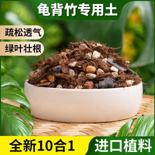 龟背竹营养土天南星科专用土秋海棠蔓绿绒海芋花烛进口泥炭热植土