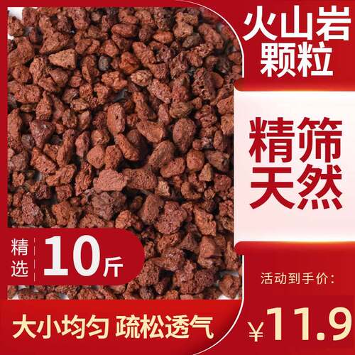 红火山石火山岩颗粒土醉花