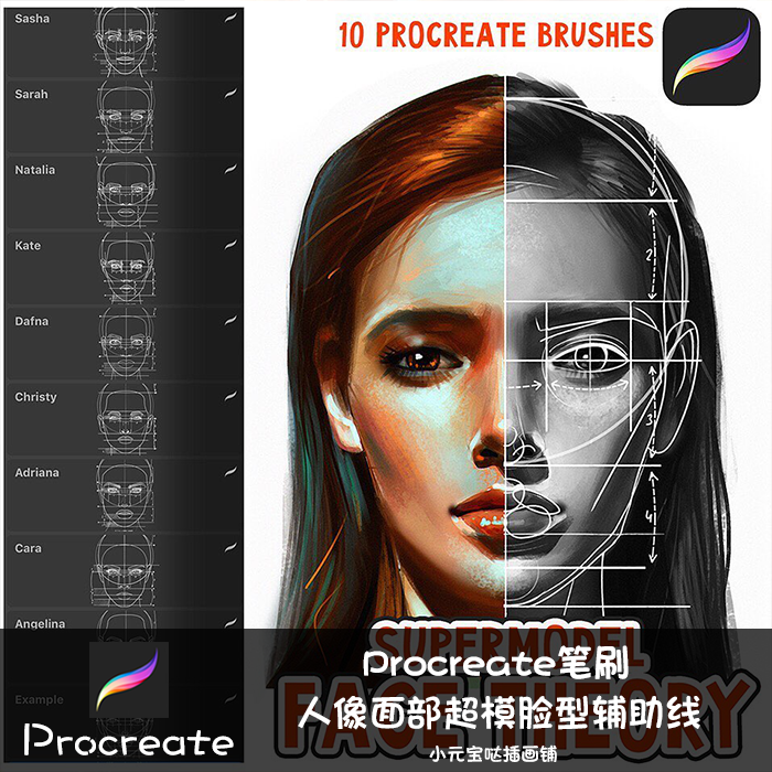 procreate笔刷人像面部超模脸型辅助线Pad绘画厚涂零基础练习推荐