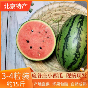 北京大兴庞各庄西瓜L600袖珍小吊瓜皮薄甜新鲜水果顺丰礼盒2-3粒