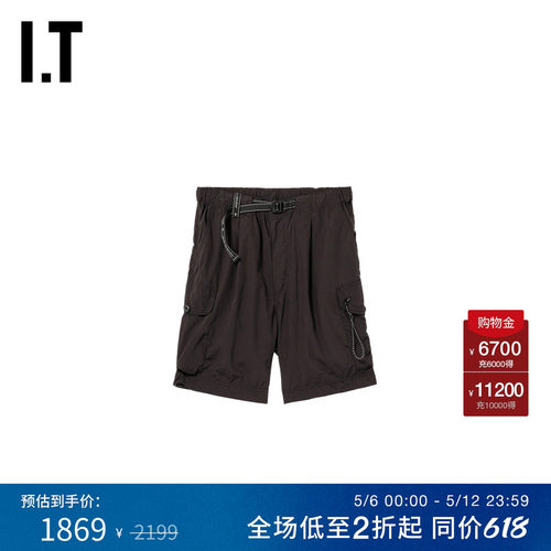 ITandwander工装短裤