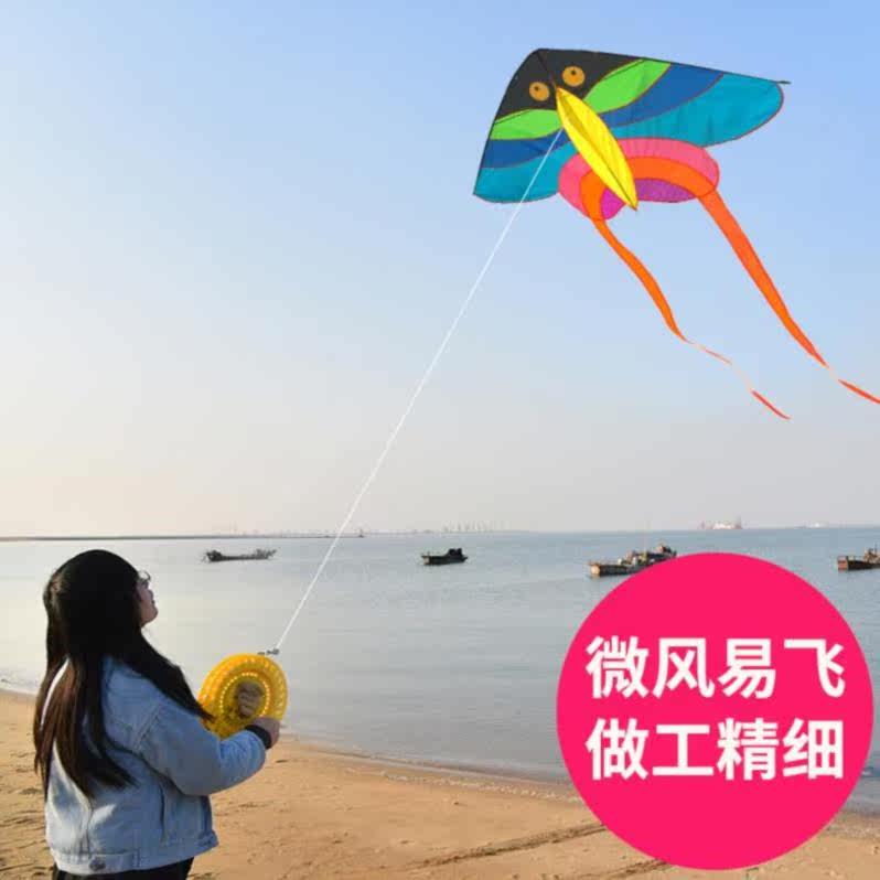 中国风高档长尾小型幼儿园立体玩具软体风筝超大公主小风筝新款在类目 运动/瑜伽/健身/球迷用品, 毽子/空竹/民间运动, 风筝, 风筝中 - 来自Buy2taobao.com提供专业的淘宝代购服务
