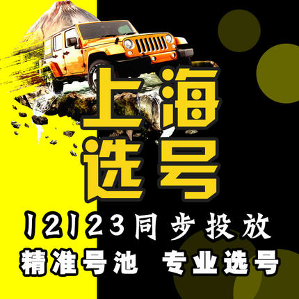 上海车牌选号新能源车新车12123自编选号查询被占用预选车牌号码