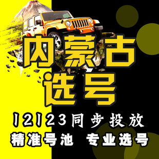 内蒙古呼市包头乌海赤峰通辽鄂尔多斯新车牌照选号自编查询数据库