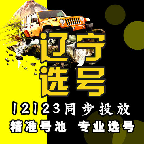 辽宁沈阳大连马鞍山抚顺本溪丹东锦州营口辽阳车牌选号自编数据库