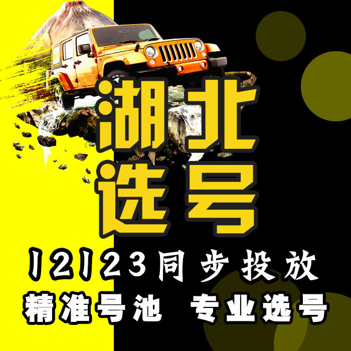 湖北武汉黄石十堰宜昌襄阳鄂州荆其它服务