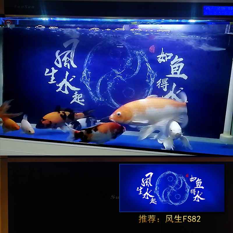鱼缸背景纸画高清图3d立体壁纸壁画造景水族箱贴纸5d装饰自粘免胶