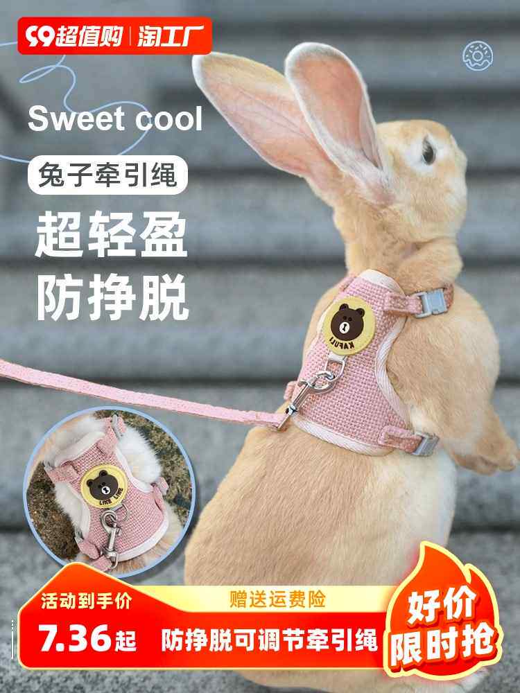 兔子牵引绳溜兔防挣脱牵遛绳子链子宠物猫咪狗狗兔专用外出绳用品