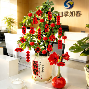元旦办公室年会装饰品迎新年春节盆景绿植树上小灯笼挂件氛围布置