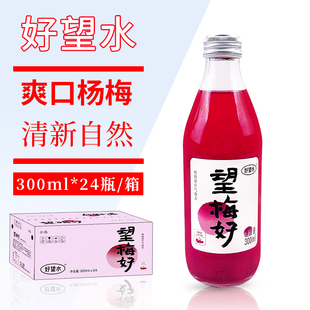 5瓶网红果汁气泡水饮料健康饮品杨梅汁饮料 好望水望梅好300ml