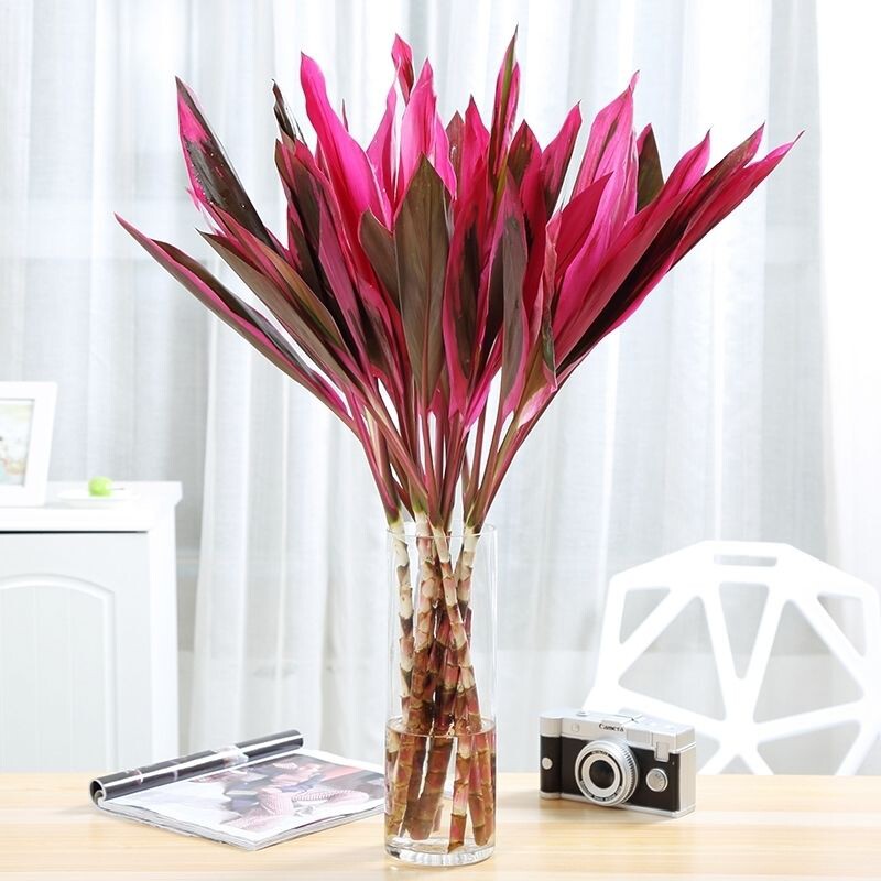 网友分享在meiguo.com的图片