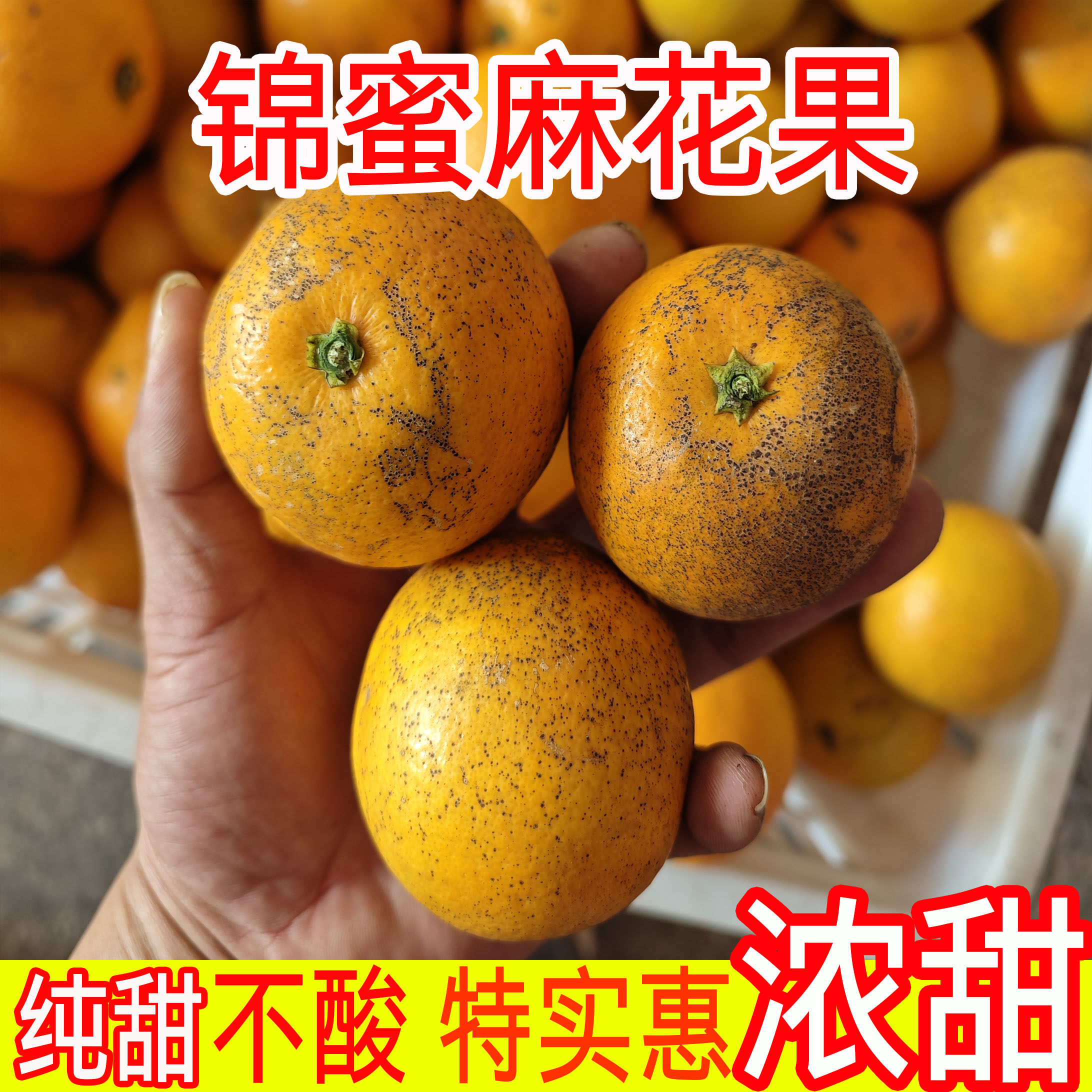 麻花果 正宗锦蜜冰糖橙麻阳超甜现摘新鲜水果湖南褚甜橙柑橘橙子