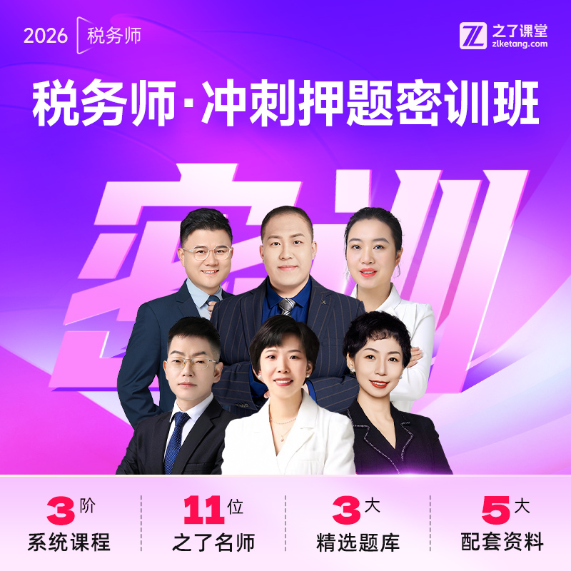 2025年税务师冲刺押题密训班