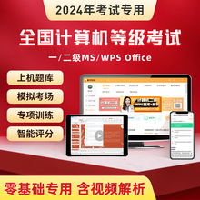 2024年计算机二级ms office题库wpsoffice全国等级考试一级网课