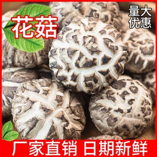 花菇干货家用花菇煲汤食材小干香菇冬菇菌菇新鲜干蘑菇商用