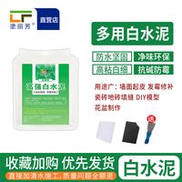 散装白水泥室内室外墙面修补防水抗裂速干标号白水泥灯口钉眼孔洞