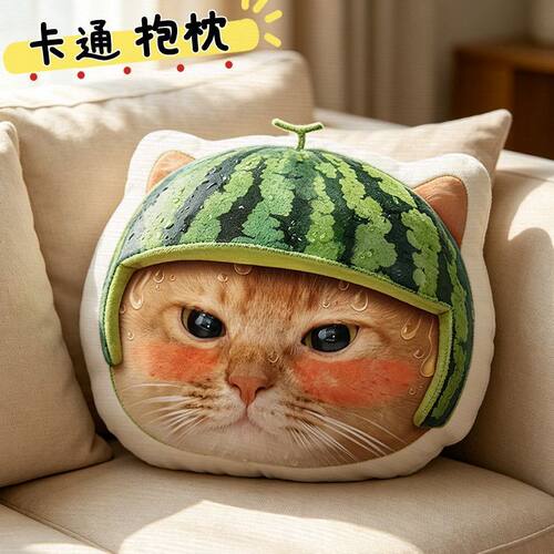 瑞幸联名mindaday猫猫异形抱枕猫猫搞怪抱枕沙发靠枕背垫公仔娃娃