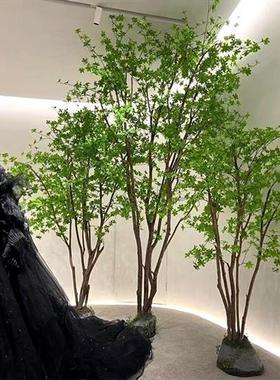 仿真日本吊钟树造景绿植室内设计橱窗马醉木北欧ins风装饰假树