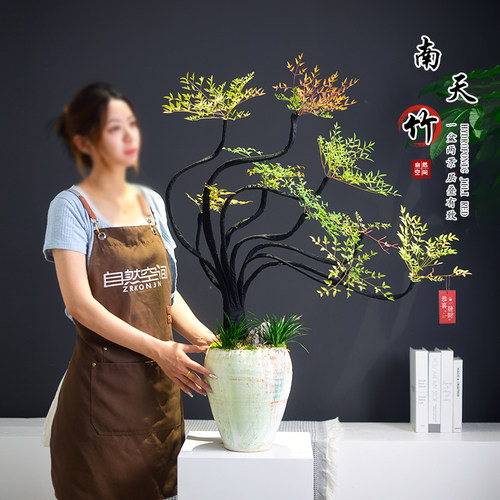 南天竹盆栽客厅真花造型大盆景室内办公客厅装饰花卉植物网红植物