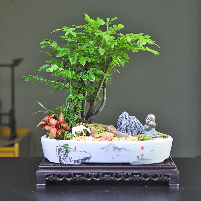 紫檀黑骨茶室内客厅茶桌书房