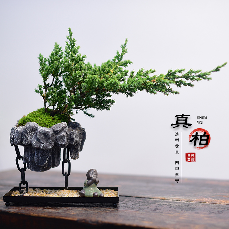 真柏客厅办公室书房茶几桌面