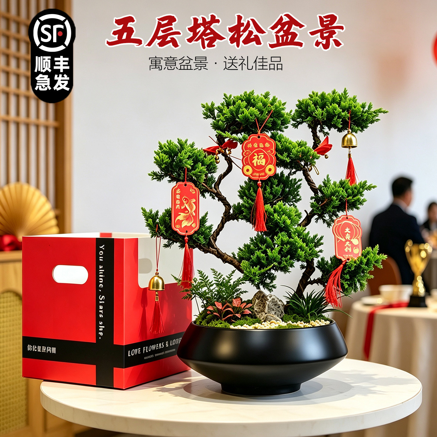 五层塔松盆景真柏盆栽艺术室内客厅办公书房乔迁开业喜庆送礼物