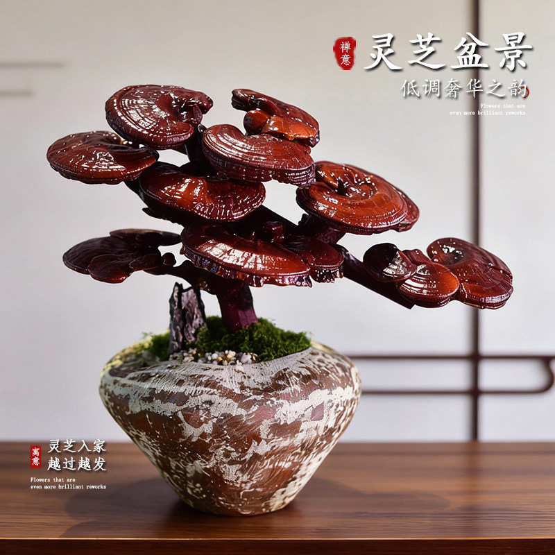 观赏灵芝造型老桩盆景观赏植物室内办公客厅寓意桌面摆件盆栽送礼