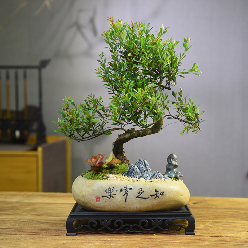 赤楠室内客厅办公室书房