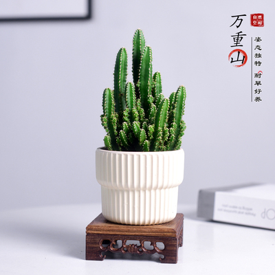 书房客厅办公室茶室万重山