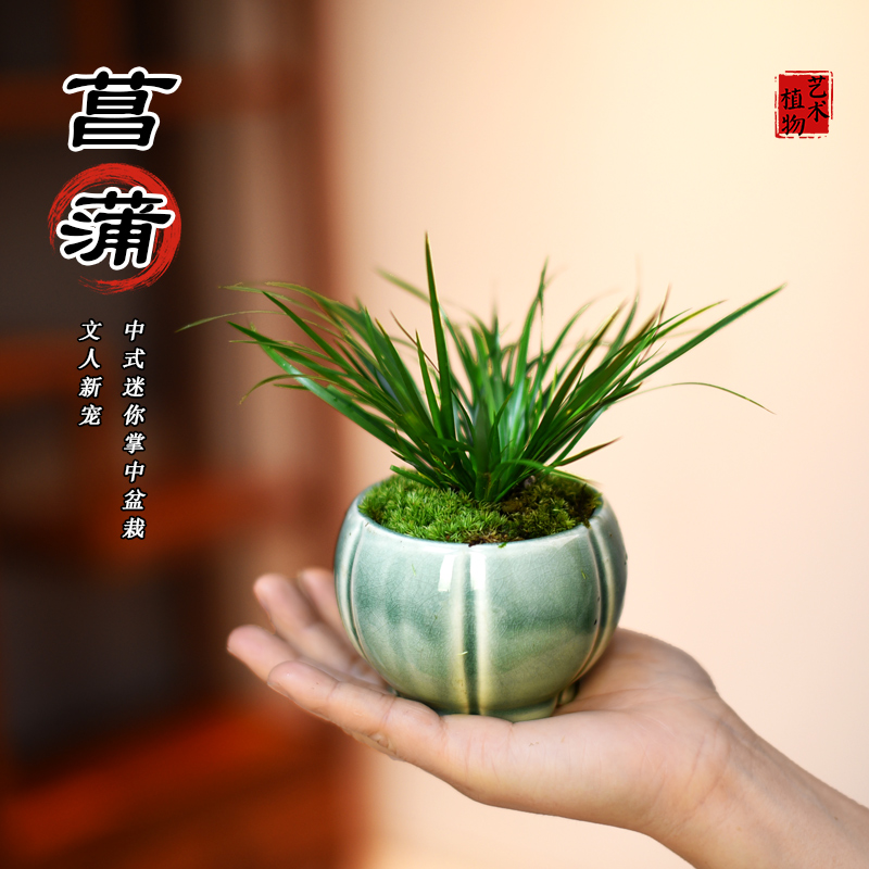 菖蒲接待前台书房茶几桌面客厅