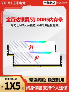 Die台式 金百达DDR5 机内存 16G 6400 32G马甲条海力士A 6800 6000