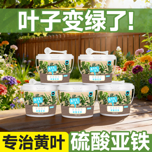 奈辰硫酸亚铁家庭园艺肥料植物专用桶装专治黄叶