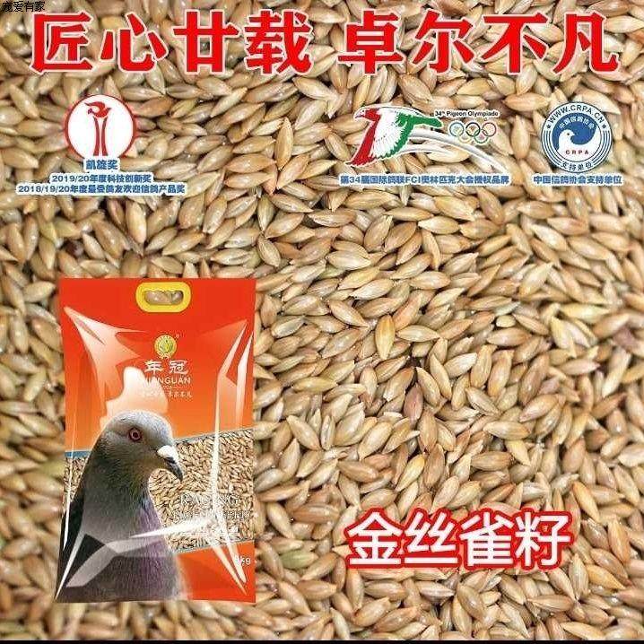 年冠金丝雀籽10斤加那利子增加鸽子浮力视力磁场导航抗疲劳血循环