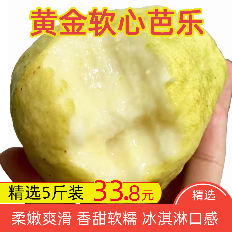 广西黄金奶油芭乐香甜白心番石榴