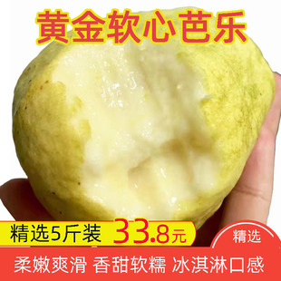 包邮 广西黄金奶油芭乐香甜白心番石榴软糯芭乐果应季 巴乐水果新鲜