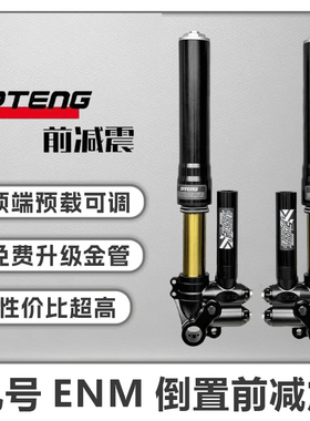 PT46芯倒置前减震避震金管小牛九号非GFE352鲨王PTRD可调预载