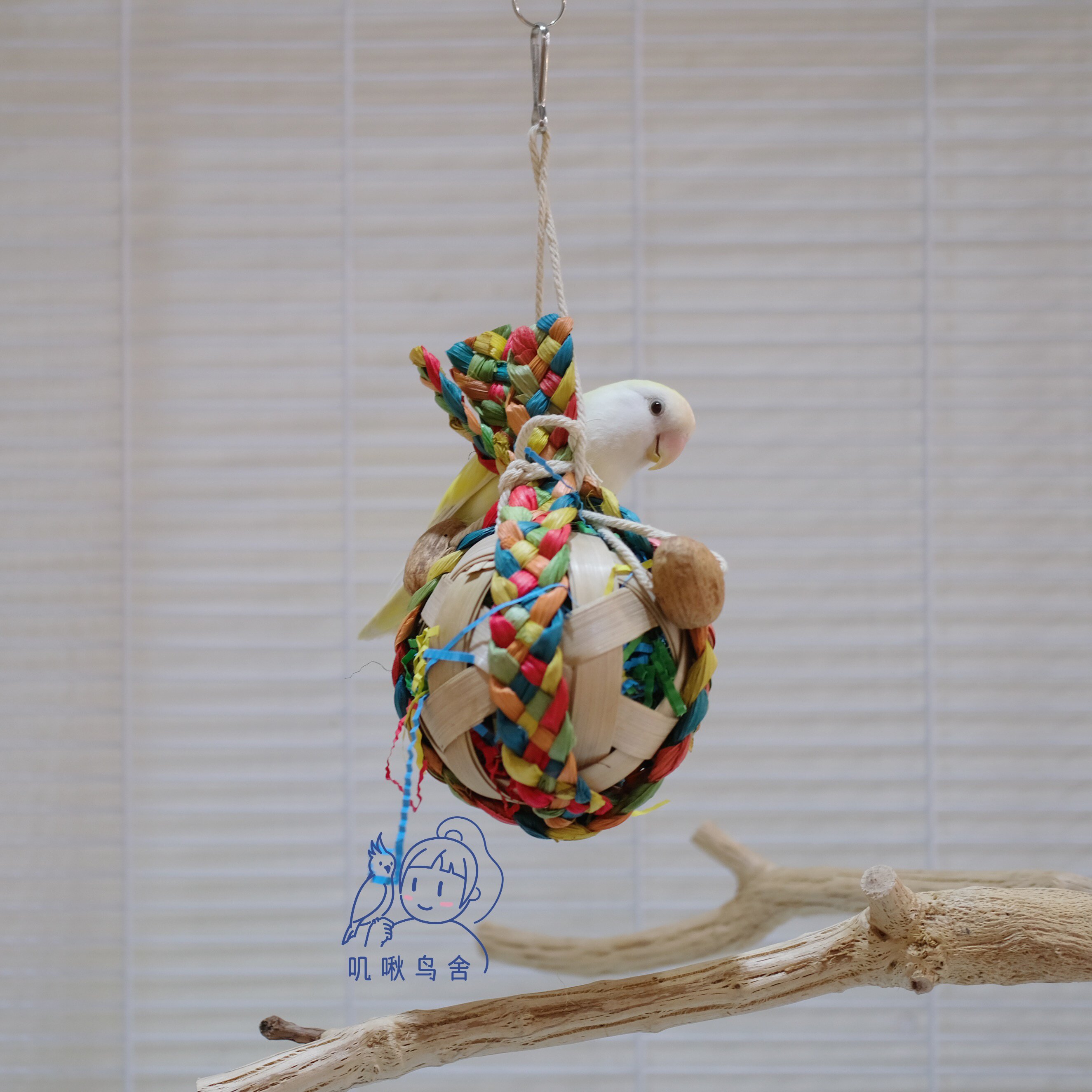 彩色竹编 编制球 鹦鹉玩具 中小型鹦鹉玩具