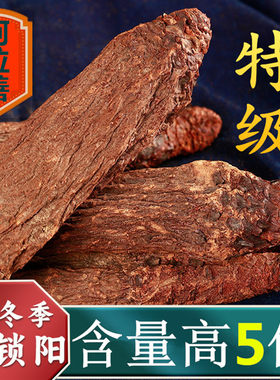 冬季内蒙古中药材锁阳肉苁蓉