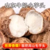 Товары от 鲜彤旗舰店