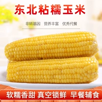 Северо -восточный ароматный сладкий желтый клейкий кукурузный вакуумный стержень липкий и упакованная еда минус не транзитные дети с 10