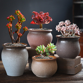 多肉花盆陶瓷特价 包邮 清仓创意个性 复古粗陶小老桩盆大口径肉植物