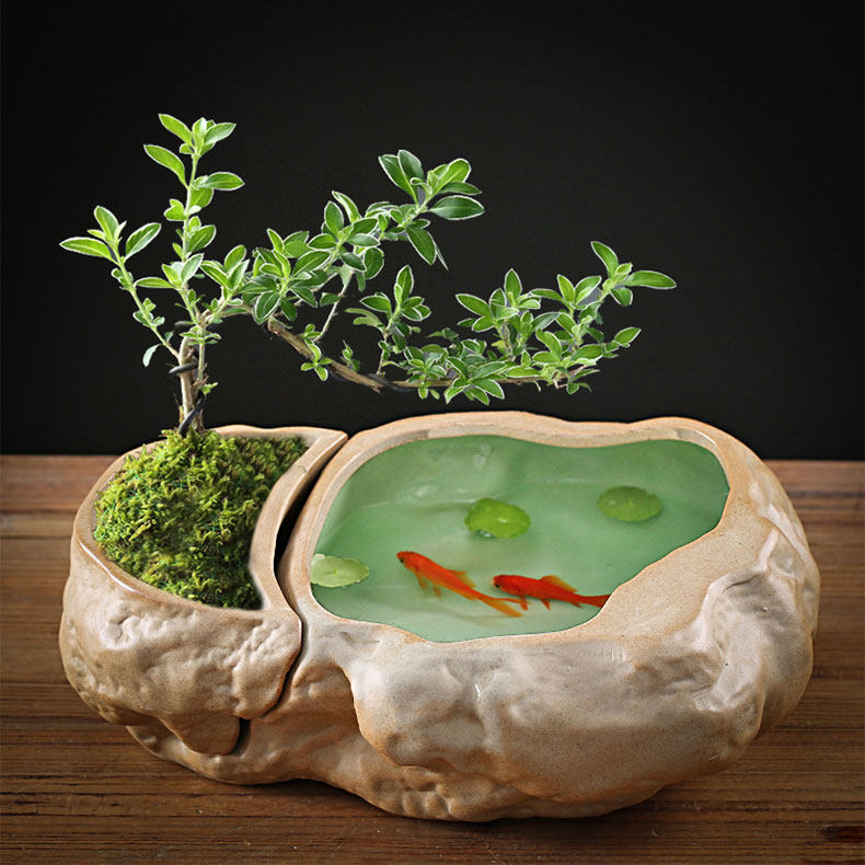 仿石头水仙花盆陶瓷无孔铜钱草养鱼缸大号绿萝水培植物微景观造景