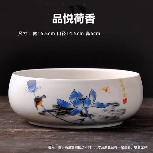 水培花盆多肉睡莲特大号