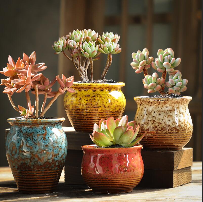 多肉花盆陶瓷大号清仓特价大口径粗陶透气肉肉植物小老桩花盆包邮